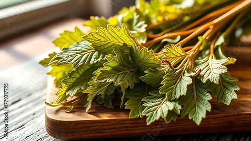 tolerable. Close-up of dried lovage leaves on a wooden rack with natural morning light. gardening catalogs, home-decor guides, designed for home decor and floral branding, used by sports marketers.