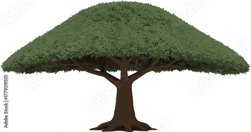 Symmetrical tree with dome-shaped canopy cartoon illustration, symbolic balance and expressive nature growth artwork for design and education