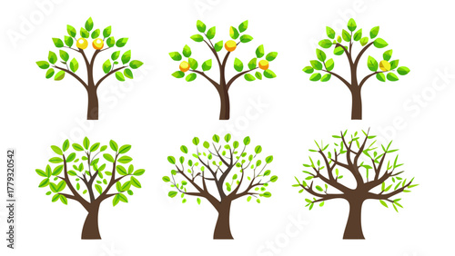Illustrative trees: A set of six meticulously crafted illustrations showcasing trees in various stages of growth, offering a visual symphony of the environment