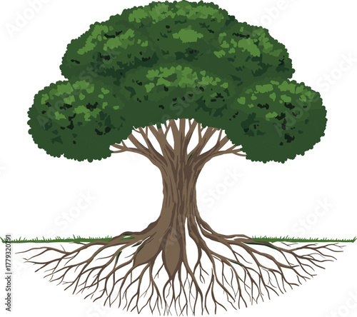 Tree with visible roots and canopy cartoon illustration, symbolic stability and expressive nature growth artwork for design and education
