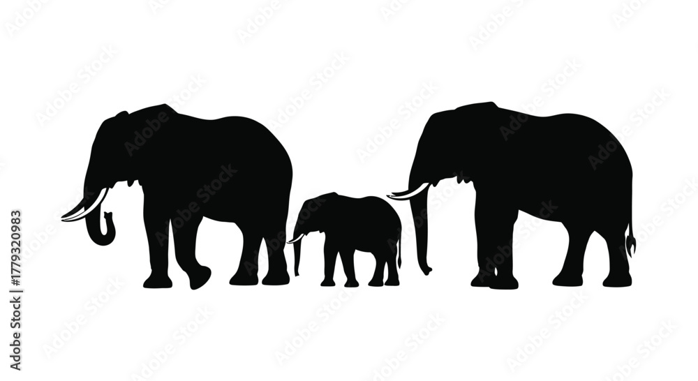 Fototapeta premium Silhouette of an elephant family isolated on white background