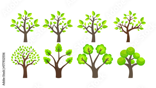 Tree Collection: A vibrant collection showcases diverse tree illustrations, each a unique representation of natural growth, featuring a variety of leaf formations, trunk shapes, and branch structures.