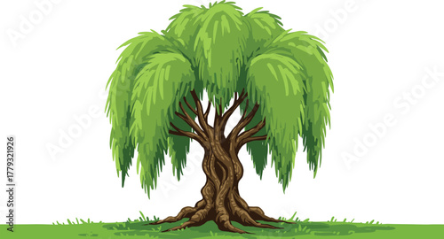 Weeping willow tree cartoon illustration, symbolic solitude and expressive nature emotion artwork for design and storytelling
