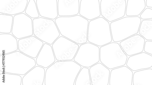 Abstract geometric pattern of interconnected cells
