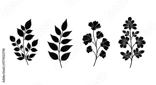 Four branch silhouettes isolated on white background are shown together