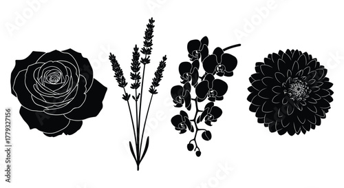 Elegant floral silhouettes isolated on white background featuring rose, lavender