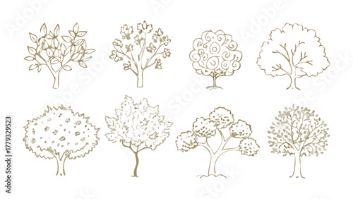 Tree Variety Illustration: A collection of various tree illustrations, each with unique leaf structures and canopy shapes, showcased in a detailed line art style. 