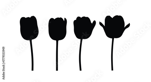 Four tulip silhouettes isolated on white background in a row formation