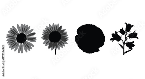 Four different flower silhouettes isolated on white background are displayed