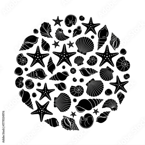 Circular arrangement of various black and white seashells and starfish silhouettes