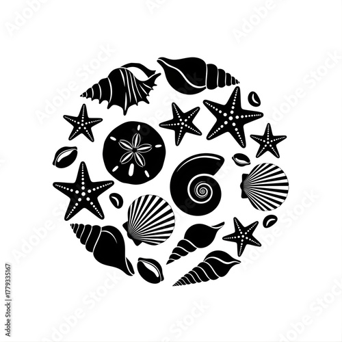 A circular arrangement of black and white seashells and starfish on a white background