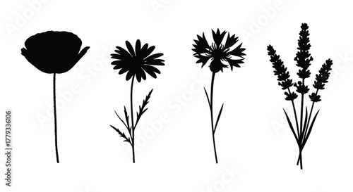 Four different flower silhouettes isolated on white background for your designs