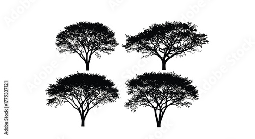 Four tree silhouettes isolated on white background in a two by two grid
