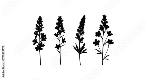Four black and white flower silhouettes isolated on white background
