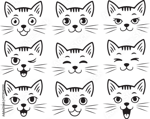 Cat Face Expressions