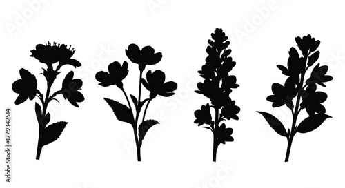 Silhouette of various flowers isolated on white background for design needs