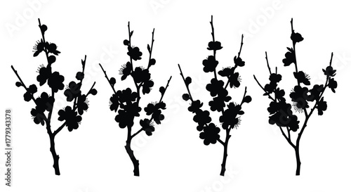 Four flowering branches isolated on white background are displayed in a row