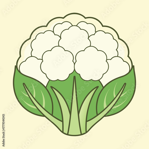 A simple, flat design illustration of a cauliflower 