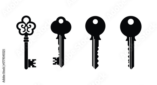 Four different keys isolated on white background are displayed in a row