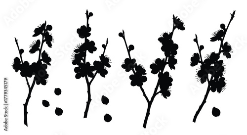 Four plum blossom branch icons isolated on white background, nature theme