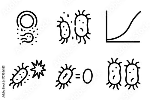 Plastic-Eating Bacteria Icons. Line style icons of plastic-eating bacteria lifecycle: spore to active form, binary fission icon,