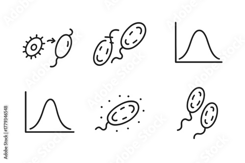 Plastic-Eating Bacteria Icons. Line style icons of plastic-eating bacteria lifecycle: spore to active form, binary fission icon,