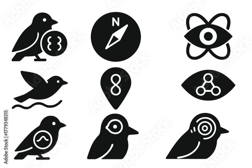 Quantum Bird Navigation. Solid style icons of avian quantum navigation: bird with magnetic field symbol, quantum compass icon,