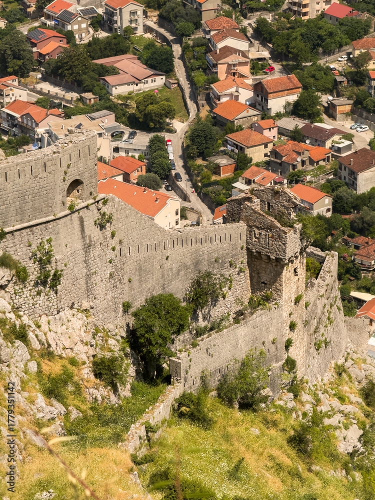 Obraz premium Ancient stone walls of Kotor's fortress snake through lush Montenegrin hills, overlooking a charming village of red-tiled roofs and winding roads.