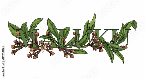 Botanical vector illustration featuring stylized text with clove buds and leaves