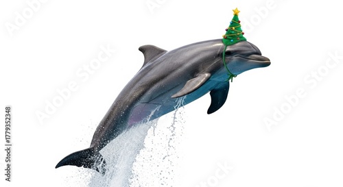 dolphin wearing a Christmas tree hat, holiday animal graphic, on a white background