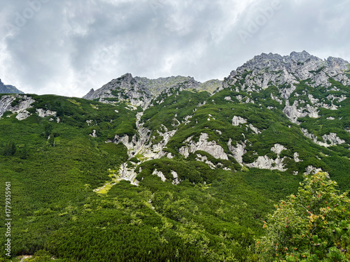 Fototapeta Naklejka Na Ścianę i Meble -  Lush green mountain slopes and jagged rocks near Zakopane Poland under cloudy sky