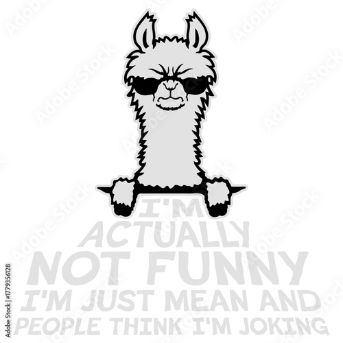 Llama Sunglasses Alpaca I'm actually not funny I'm just mean and people think I'm joking