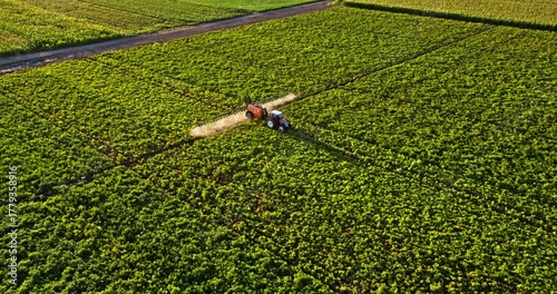 Tractor spraying potato crop with agricultural sprayer
