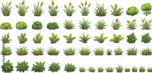 Cartoon vector illustration of plants, grasses, flowers, shrubs, bushes, foliage, decorative botanical artwork, outdoor landscape design, greenery collection set