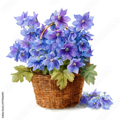 Delphinium Basket watercolor drawing vector, premium quality illustration on a clean white background.