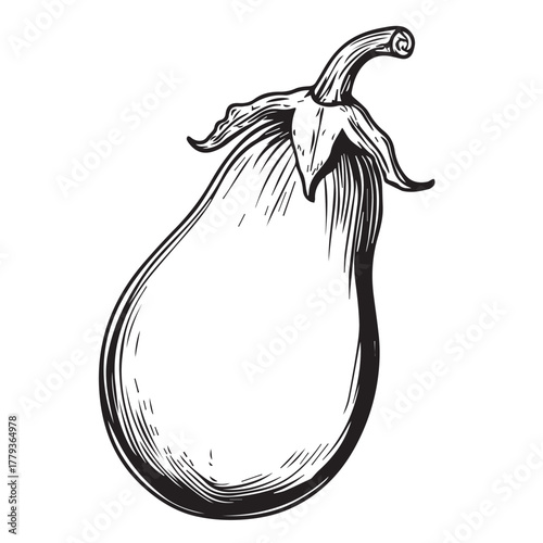 eggplant on a white background