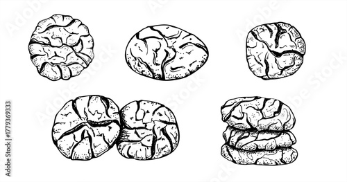 Cracked cookies vector isolated illustration painted by black inks. Monochrome traditional Italian, American or Moroccan cookies etching drawing. Hand drawn biscuit line art for menu, recipe.