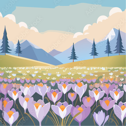 Beautiful crocus flowers growing in an outdoor rural garden - 2D vector background scene