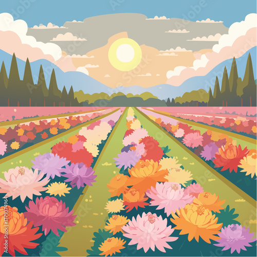 Beautiful chrysanthemum flowers growing in an outdoor rural garden - 2D vector background scene