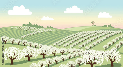 Scenic rural landscape with a flourishing fruit orchard in full bloom during a peaceful spring morning on gentle rolling hills