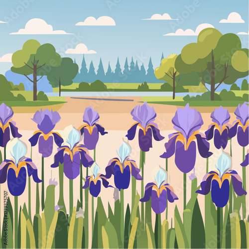 Beautiful iris flowers growing in an outdoor rural garden - 2D vector background scene