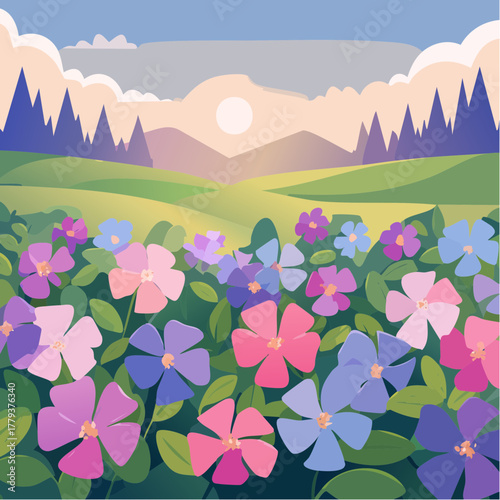Beautiful periwinkle flowers growing in an outdoor rural garden - 2D vector background scene