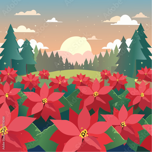 Beautiful poinsettia flowers growing in an outdoor rural garden - 2D vector background scene