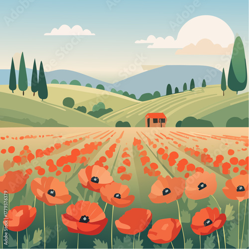 Beautiful poppy flowers growing in an outdoor rural garden - 2D vector background scene