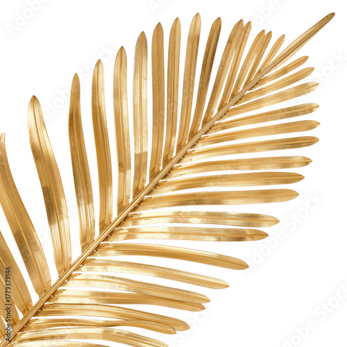 Golden Palm Leaf on a White Background, Perfect for Decorations in a Tropical...