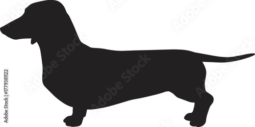 Dachshund, Dog, Pet, Puppy, Animal, Breed, Canine, Domestic, Companion, Cute, Short, Legs, Silhouette, Vector, Illustration