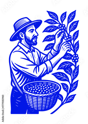 Coffee farmer harvesting coffee beans from a coffee plant. Graphic vintage woodcut linocut engraving style illustration.