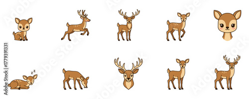 Deer Cartoon Illustrations Set