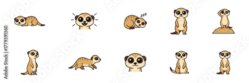 Meerkat Cartoon Set