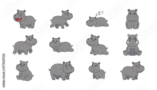 Hippopotamus Cartoon Character Set